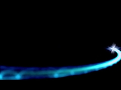 ShengW プロフィール