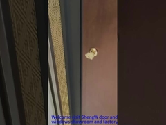 アルミフロントピボットドア